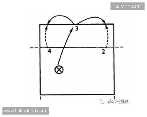 运动最新数据排球新手攻略全面入门指南助你快速掌握基础技巧与战术